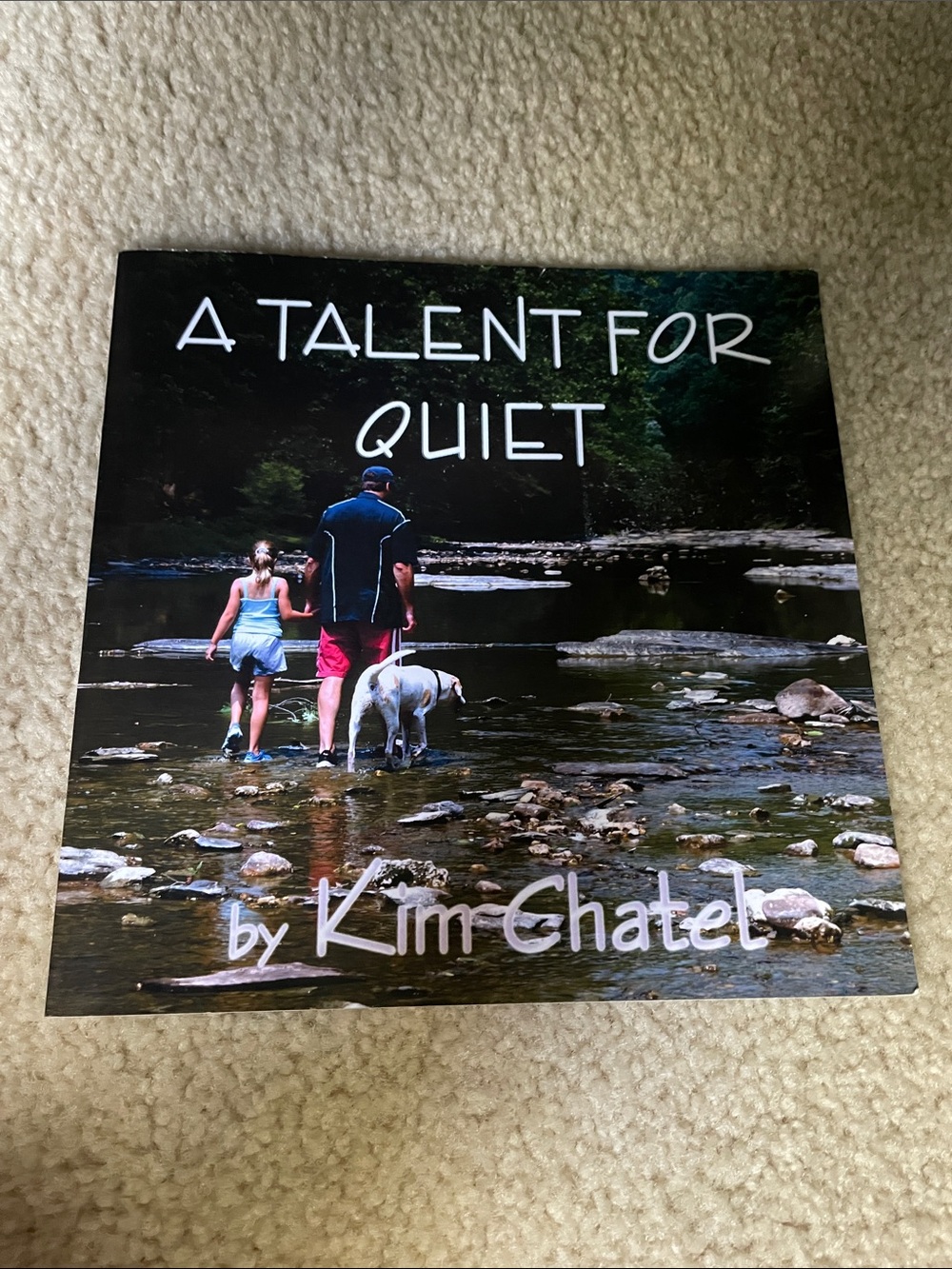 A Talent for Quiet by Kim Chatel - Scenic Book Cover (Black, Green, Blue)